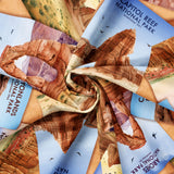 National Parks Collection-Desert Sculptures National Parks-Quilting Cotton-Orange-55250302-01