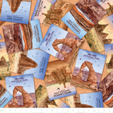 National Parks Collection-Desert Sculptures National Parks-Quilting Cotton-Orange-55250302-01