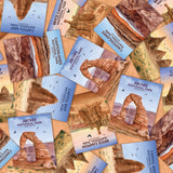 National Parks Collection-Desert Sculptures National Parks-Quilting Cotton-Orange-55250302-01