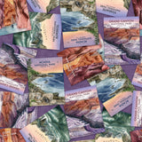 National Parks Collection-Iconic Landmarks National Parks-Quilting Cotton-Purple-55250303-01
