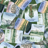 National Parks Collection-Natural Giants National Parks-Quilting Cotton-Green -55250304-01