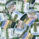 National Parks Collection-Natural Giants National Parks-Quilting Cotton-Green -55250304-01