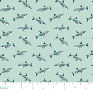 Pirates Ahoy Collection-Sharks-Aqua-Quilting Fabrics-56240104-01