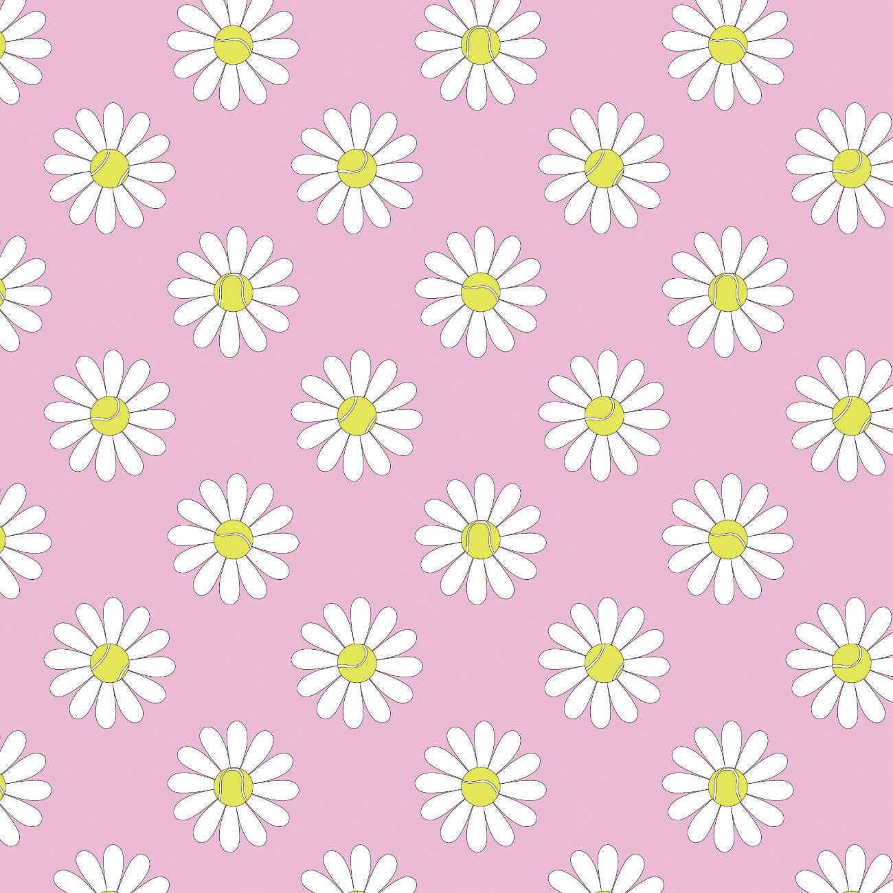 Collection Sentiment Estivale-Marguerites au Court-Rose-58240503-01