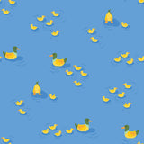 Collection Champ de Fleurs Sauvages-Vie de l'Étang-Bleu-58250402-01