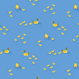 Collection Champ de Fleurs Sauvages-Vie de l'Étang-Bleu-58250402-01