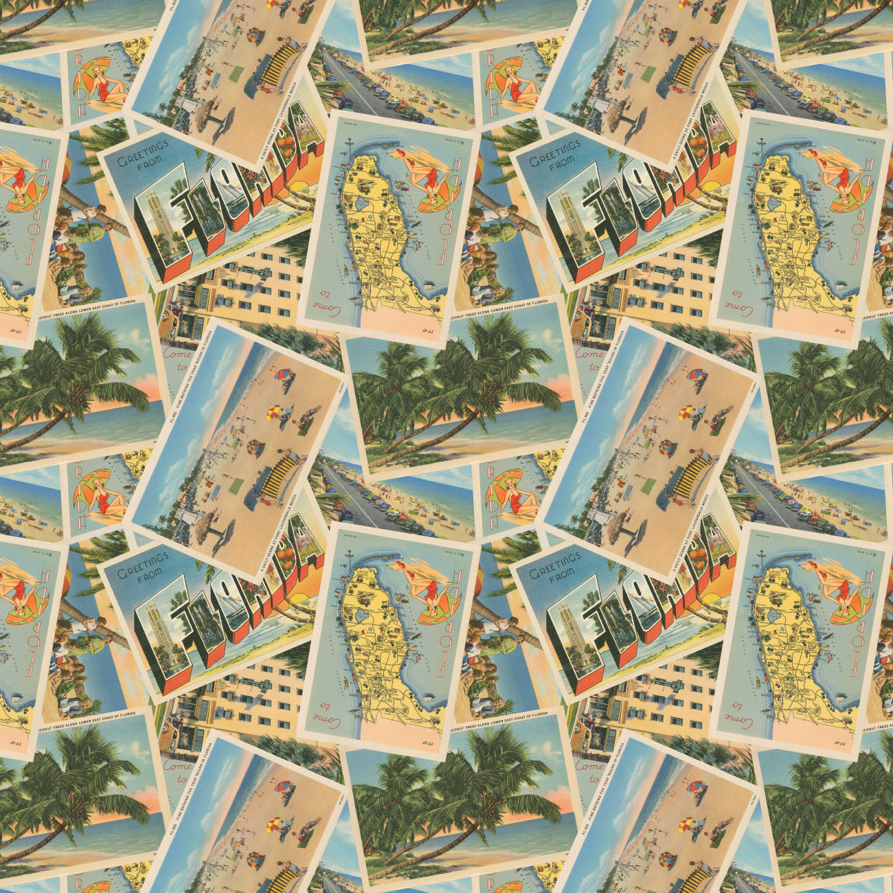 Collection Paradis des Palmiers -Cartes Postales de Floride