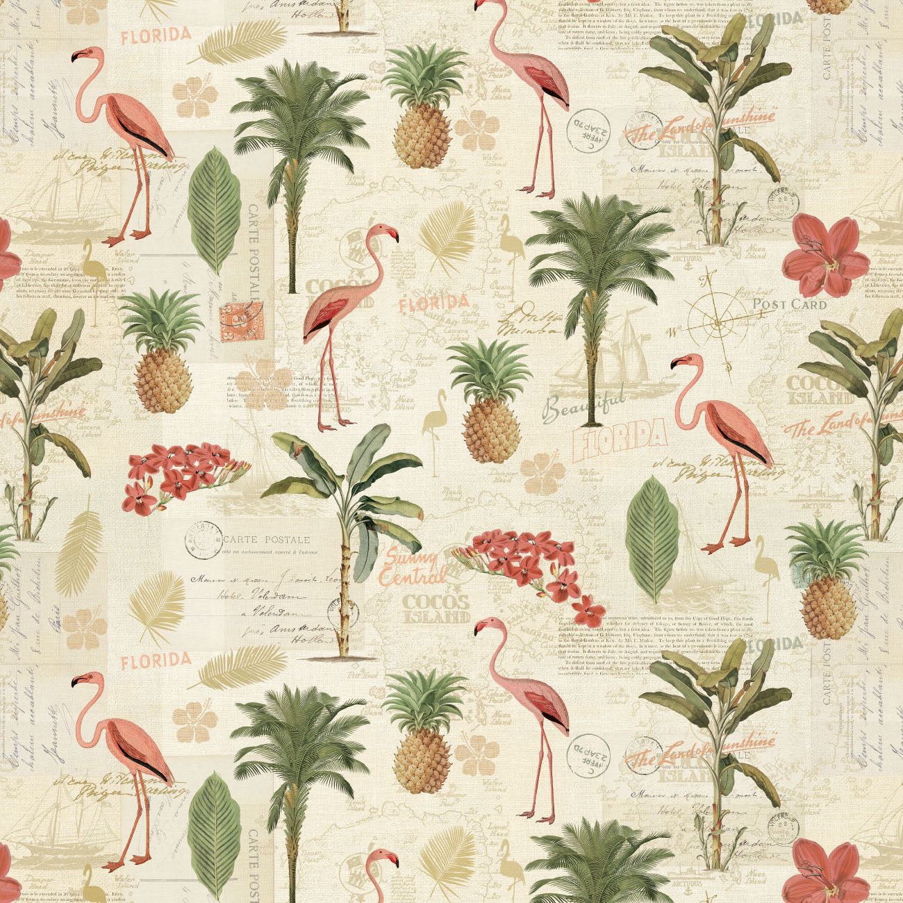 Collection Paradis des Palmiers -Illustrations Anciennes