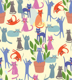 Cattitude Collection-So Much Cattitude-98250101-01