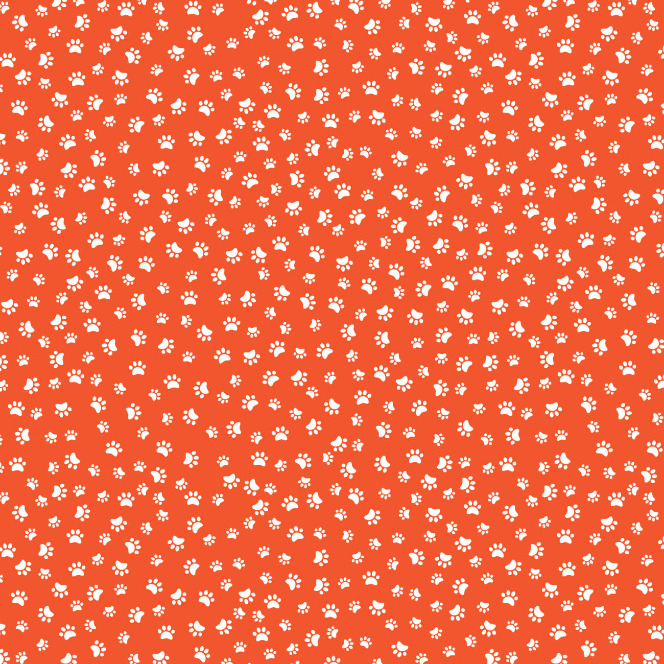 Cattitude Collection-Paw Prints-98250104-01