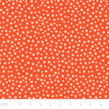 Cattitude Collection-Paw Prints-98250104-01