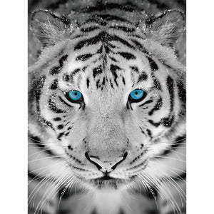 Silver Tiger Diamond Painting Kit-CD212301205