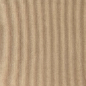 Knit Corduroy-100% Polyester-Knit