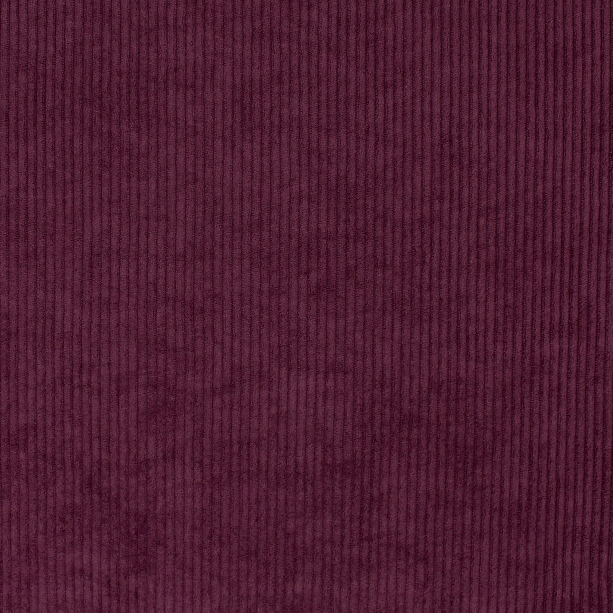 Knit Corduroy-100% Polyester-Knit-CORS1000