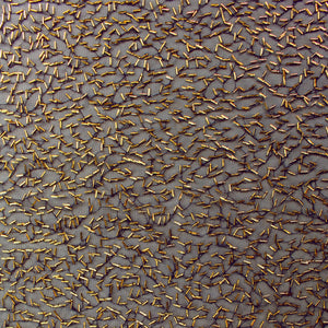 Maille brodée pailletée - 95 % polyester/5 % élasthanne - Tricot - MSEM1000