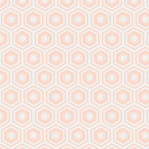 Mixology Coordinates - Honeycomb Blush