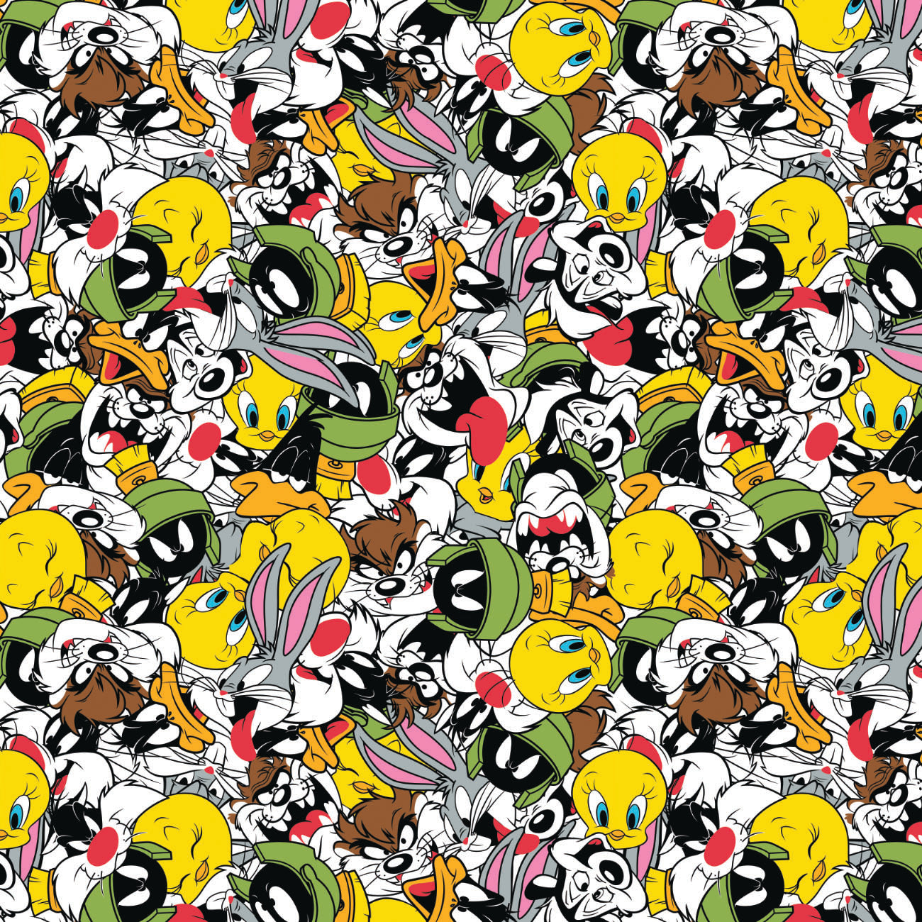 Looney Tunes-Party -Minky