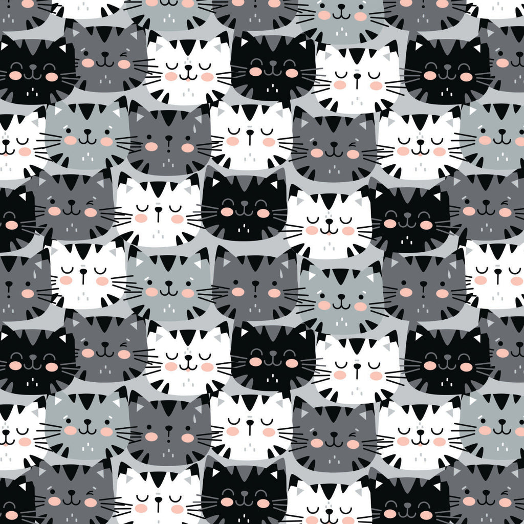 Kitten Overload by CDS - Minky