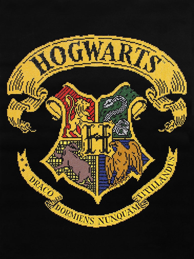 Lot de 2 verres Harry Potter - Hogwarts Crest – Legend Icon