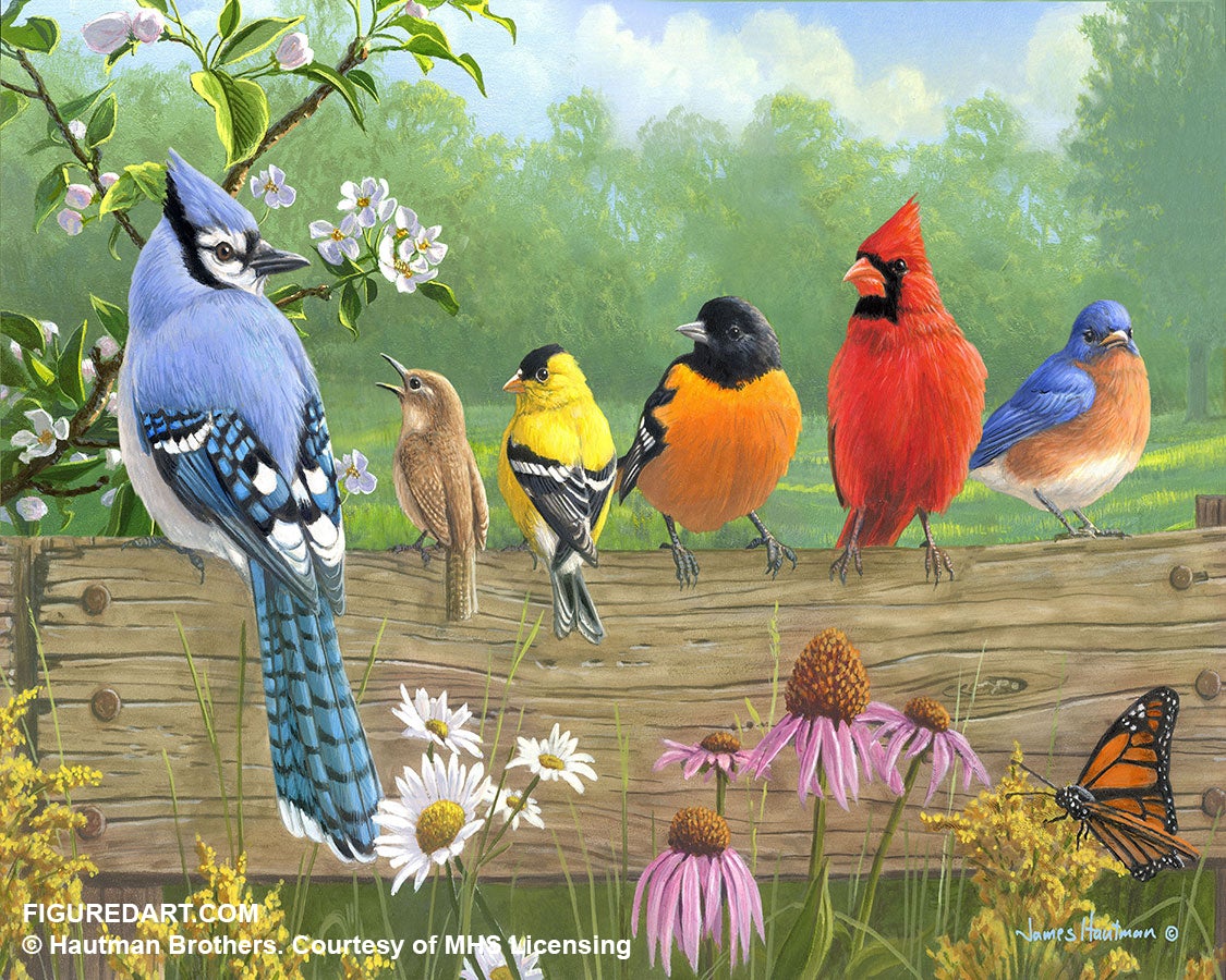 Figured'Art Painting by numbers - Birds on a Fence Frame Kit