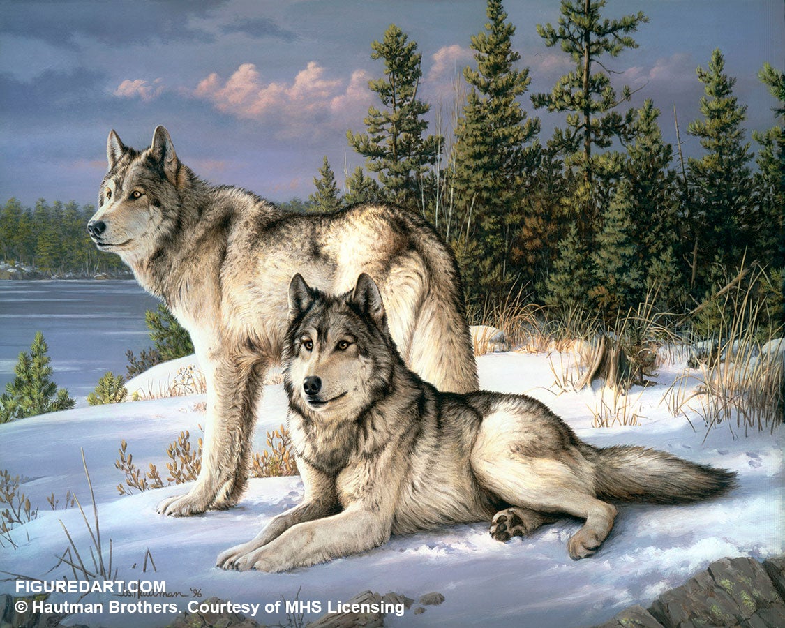 Figured'Art Peintures par numeros - Ensemble Cadre Couple de Loups