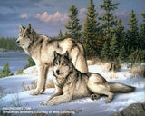 Figured'Art Peintures par numeros - Ensemble Toile enroulée Couple de Loups