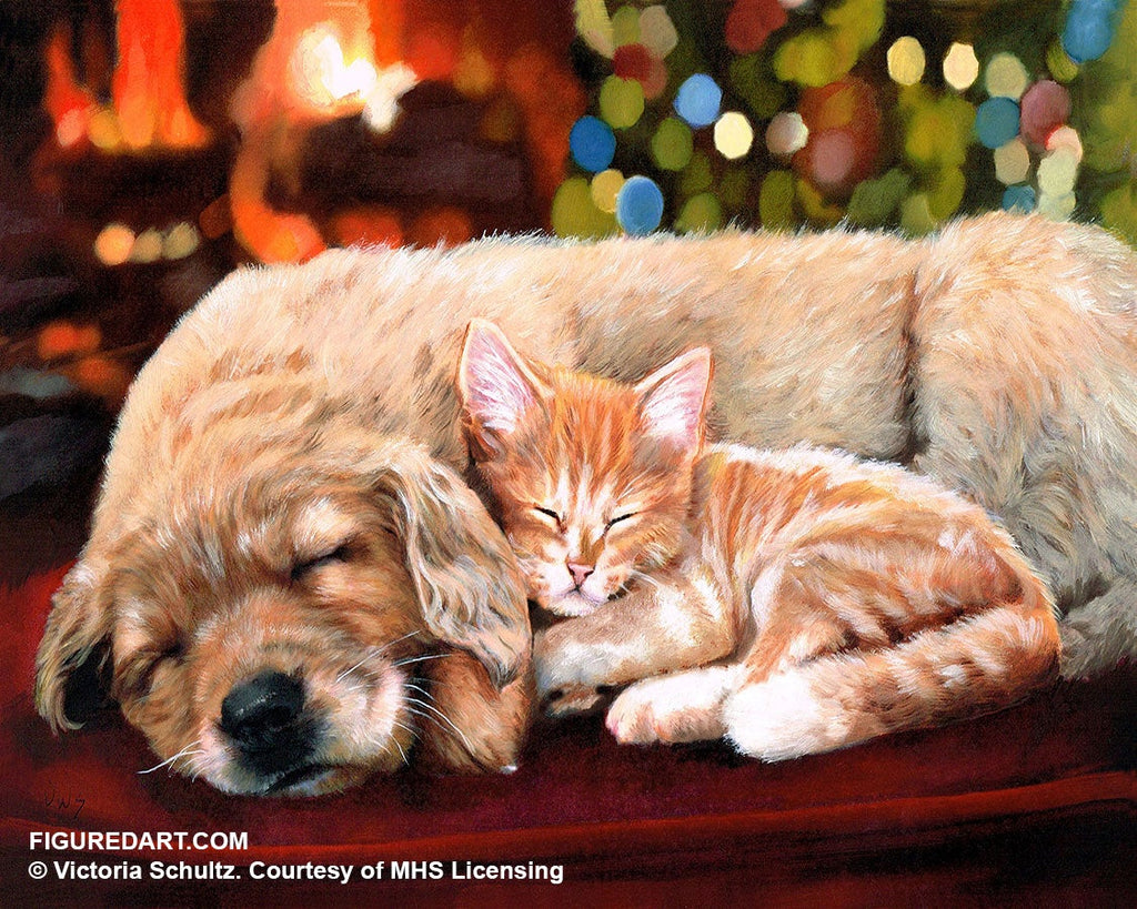 Figured'Art Painting by numbers Sleeping companions Frame Kit