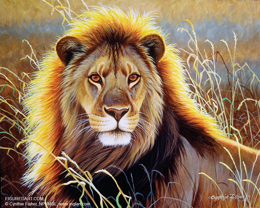 Figured'Art Painting by numbers - Lion Savana Frame Kit