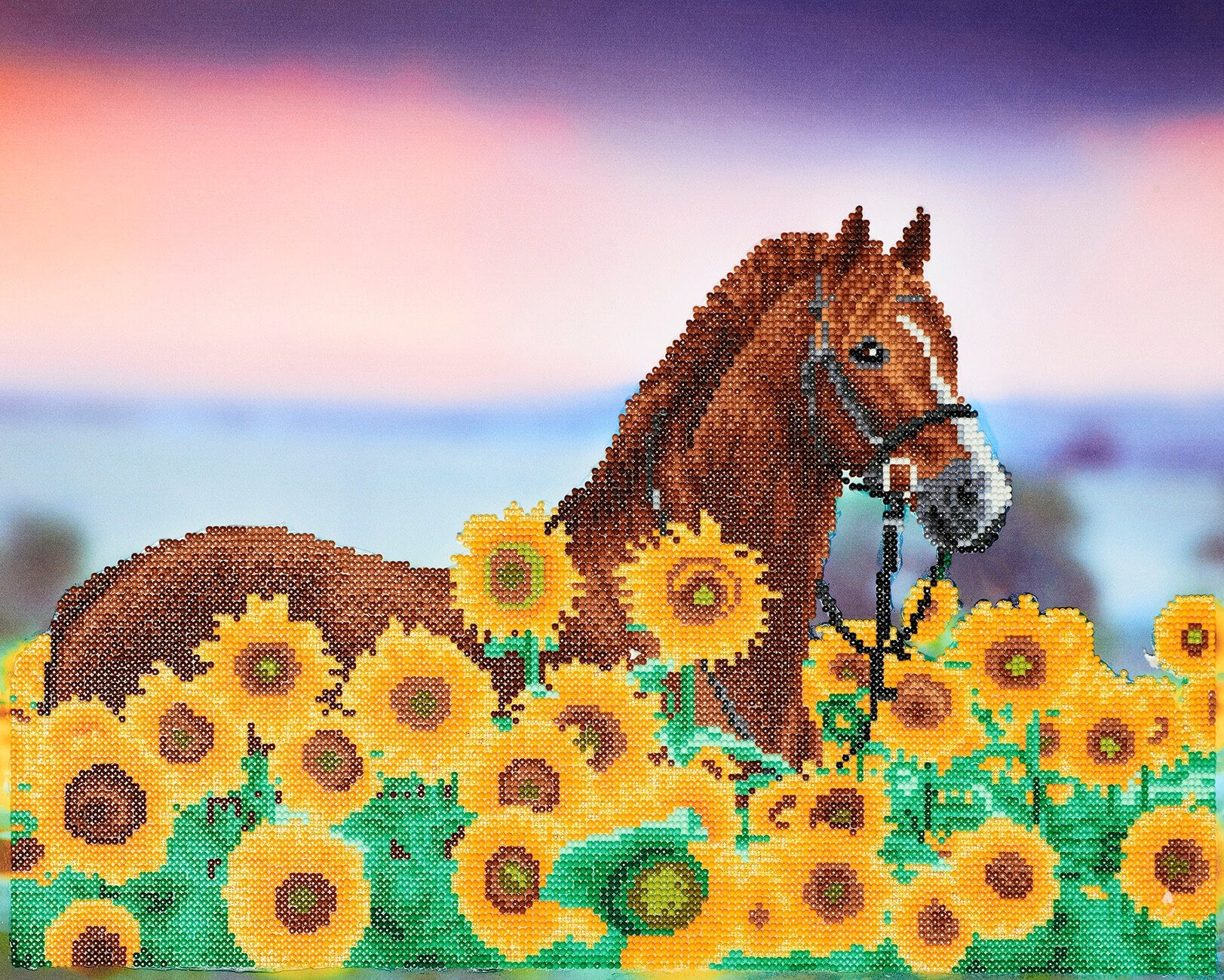 Diamond Art Sunflower Horse