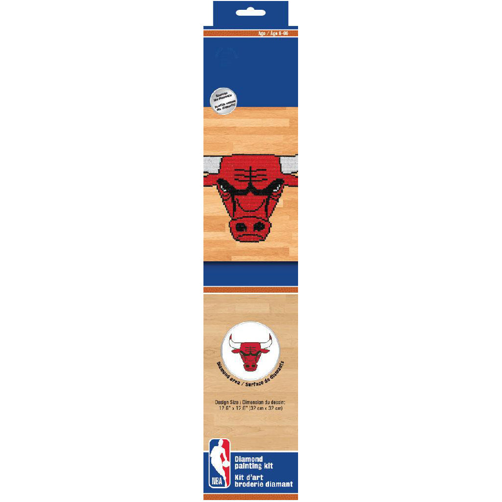 chicago bulls kit